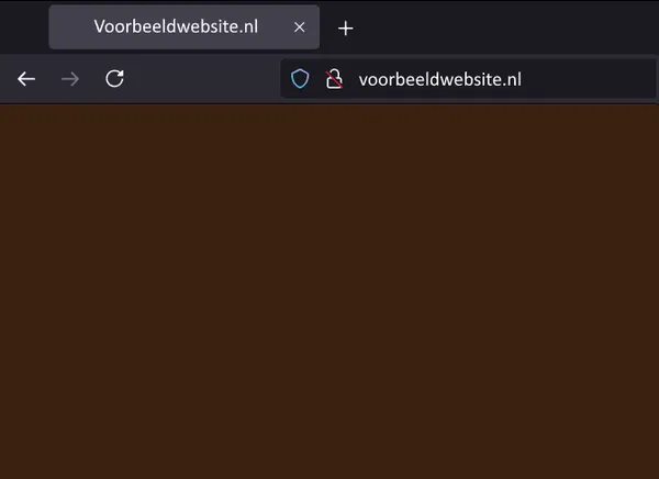Voorbeeld van onveilige verbinding in Firefox.